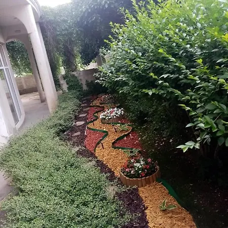 Pancho Family 2* クラネヴォ