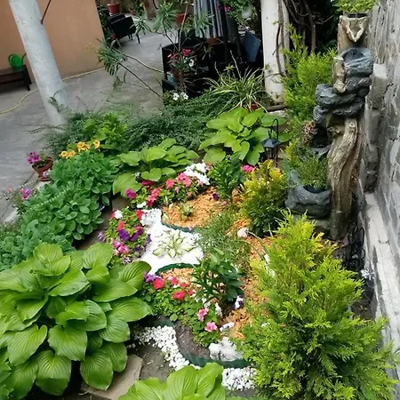 ホテル Pancho Family クラネヴォ